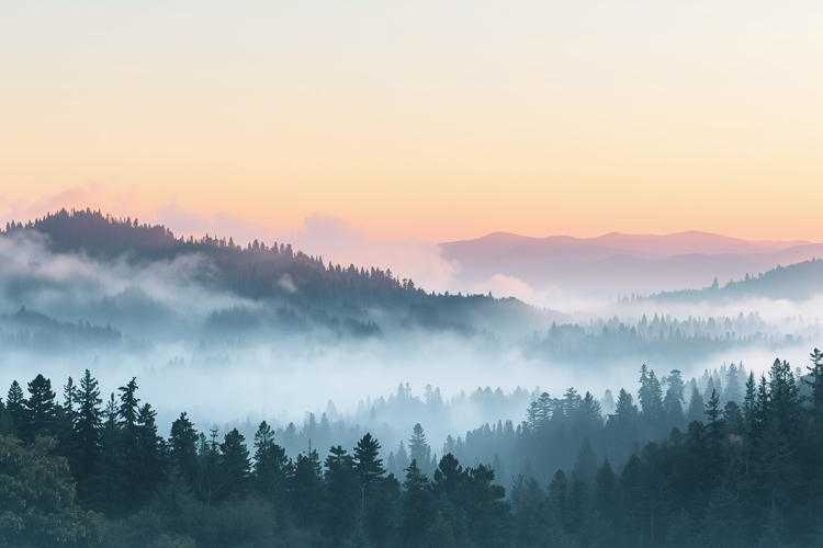 Landscape Background example image 1