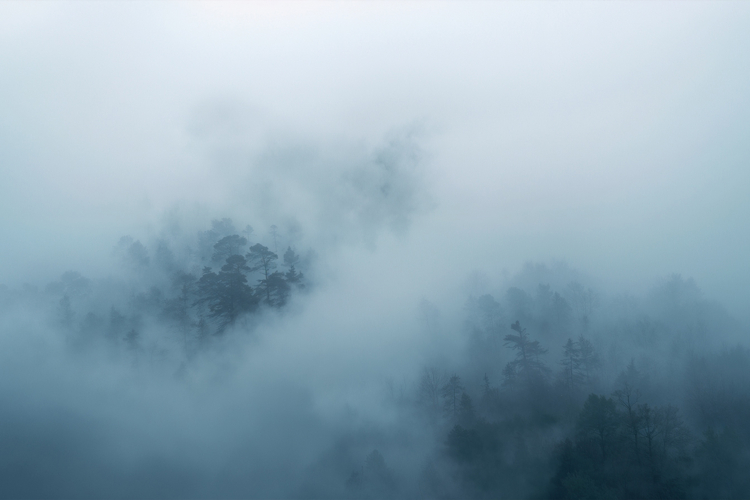 Mist Covered Background Wallpaper example image 1