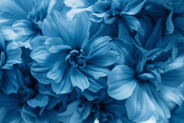 Blue Flowers Background Wallpaper example image 1