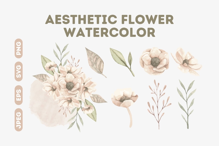 Aesthetic Watercolor Flower Collection