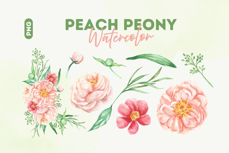 Peony Clipart Image 11