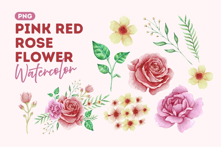 Rose Illustration Image 14