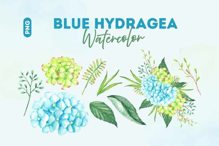 Hydrangea Clipart Image 4