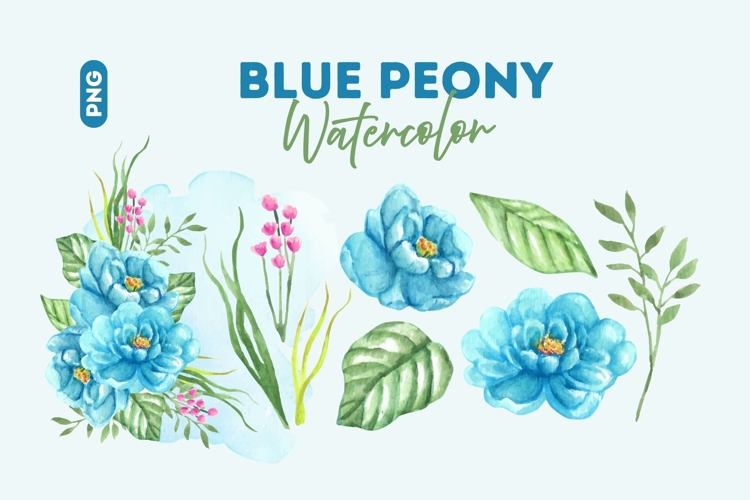 Peony Clipart Image 16
