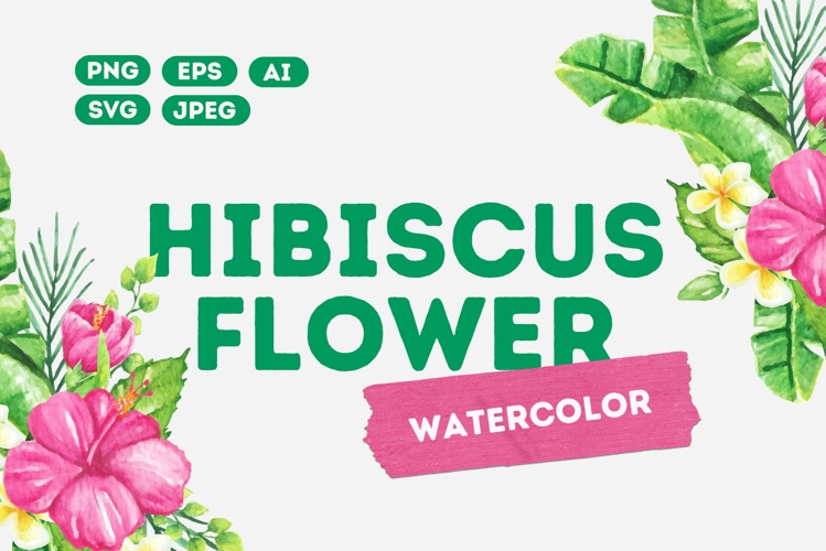 Hibiscus Flower Clipart Image 11