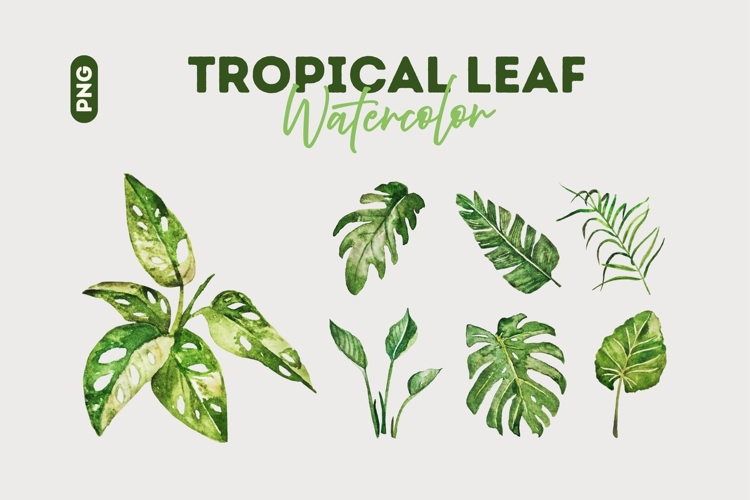 Leaf Clipart Image 8