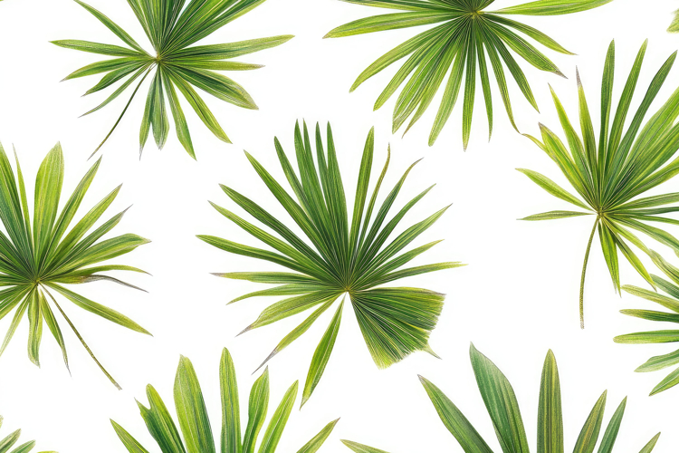 Leaf Texture Image 10