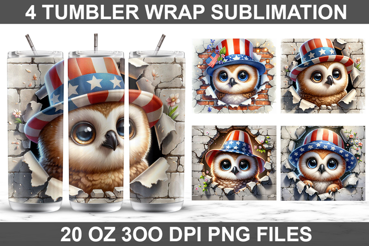 American Flag Clipart Image 6