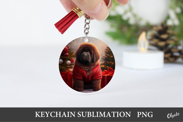 Keychain Png Image 8
