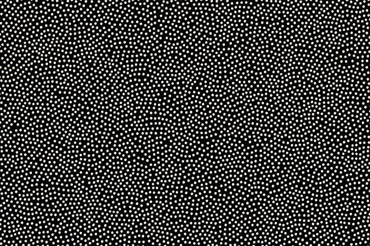 Black And White Polka Dots Background example image 1