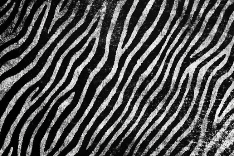 White Texture Image 3