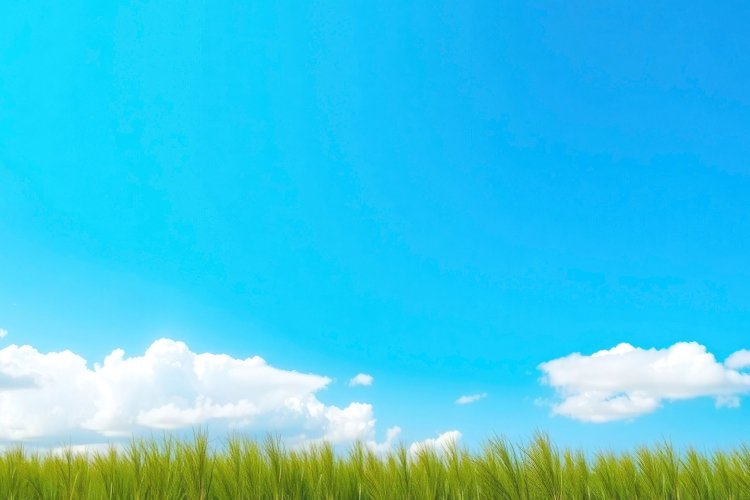 Grass With Blue Sky Background