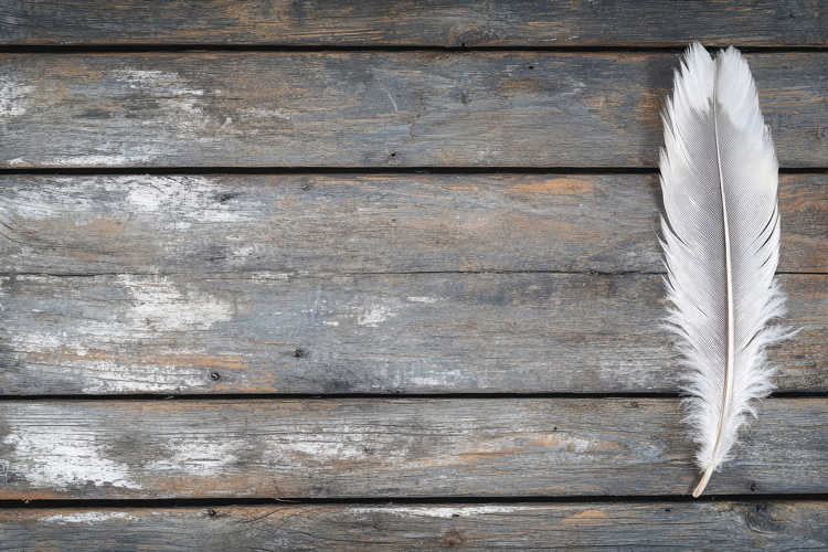 Feather Texture Image 12