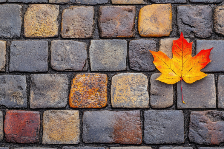 Leaf Texture Image 8