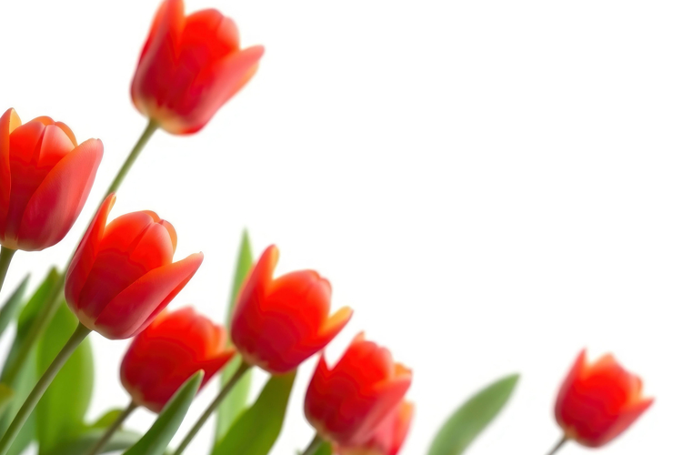 Red Texture Background Image 14