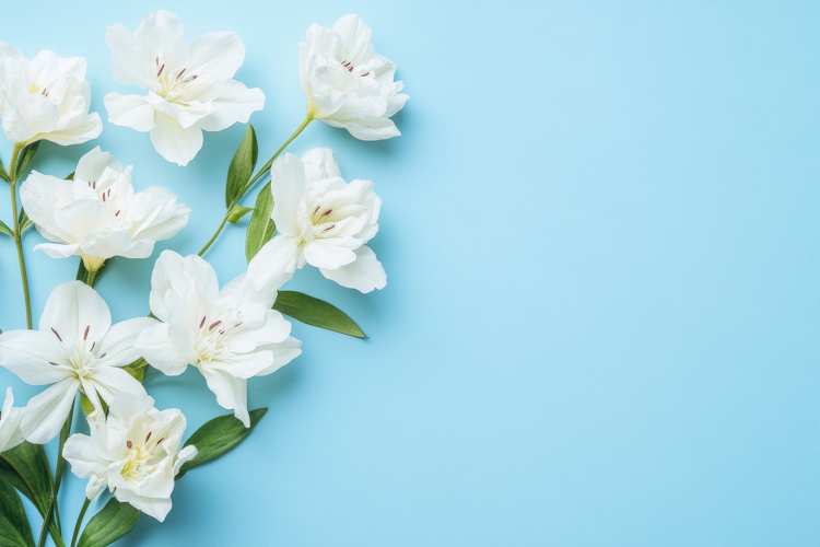 White Wallpaper Image 20