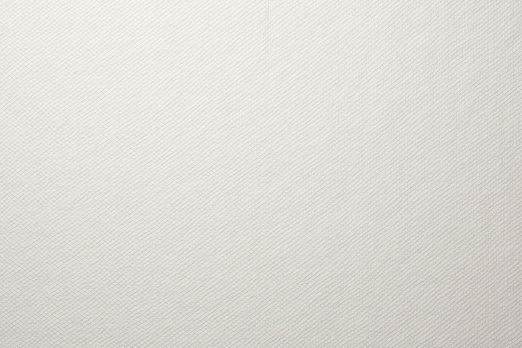 White Texture Image 2