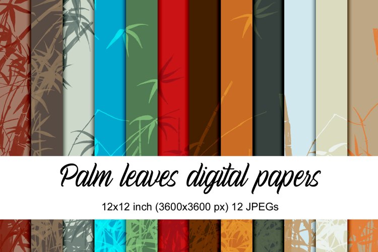 Border Clipart Image 3