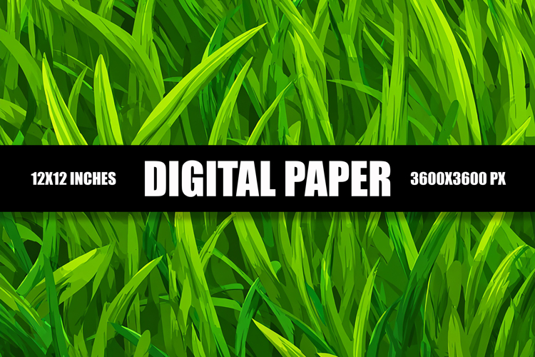 Grass Background Image 4
