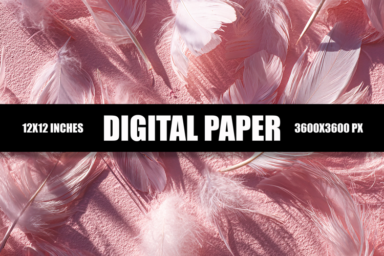 Feather Clipart Image 7