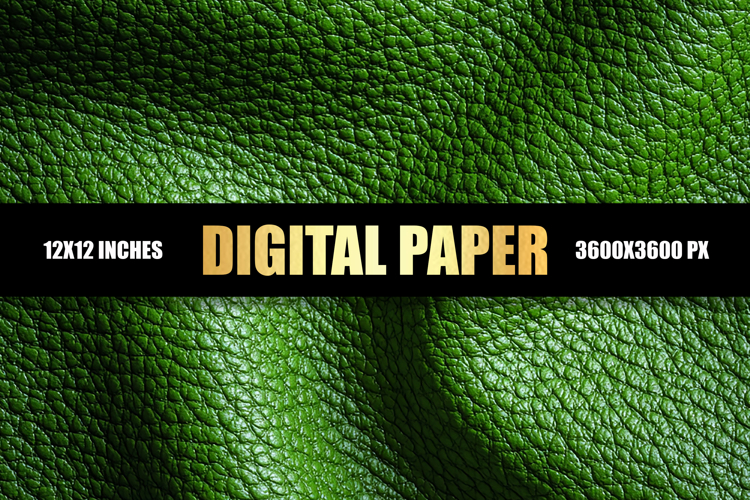 Green Wallpaper Image 24