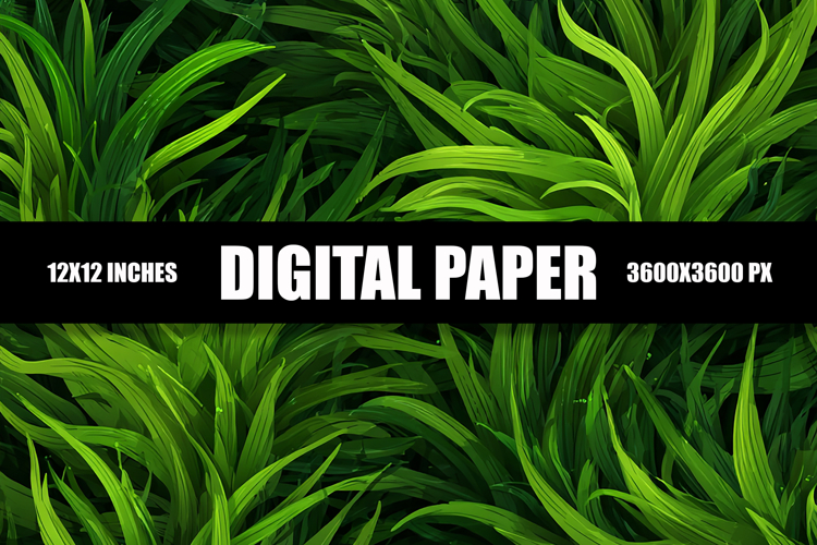 Grass Background Image 3