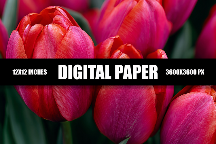 Floral Digital Paper