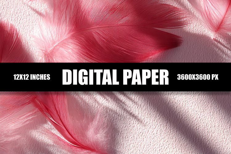Feather Clipart Image 5