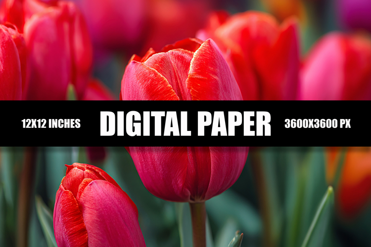Floral Digital Paper