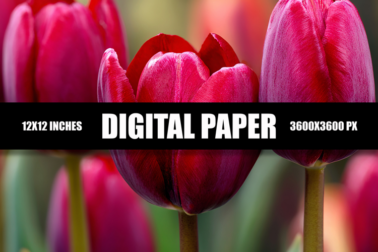 Floral Digital Paper