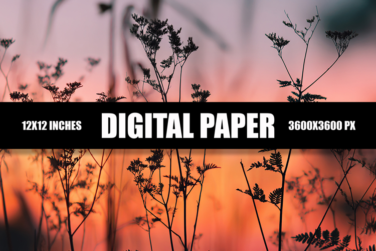 Sunset Background Image 24