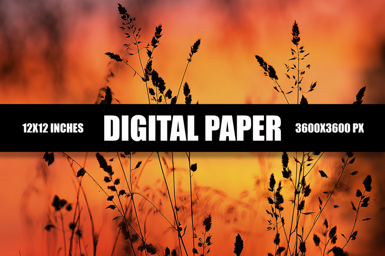 Sunset Background Image 21