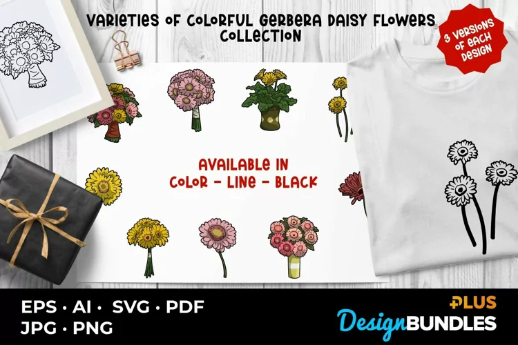 Varieties of Colorful Gerbera Daisy Flowers Collection