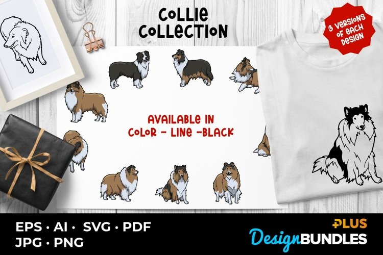 Collie Collection