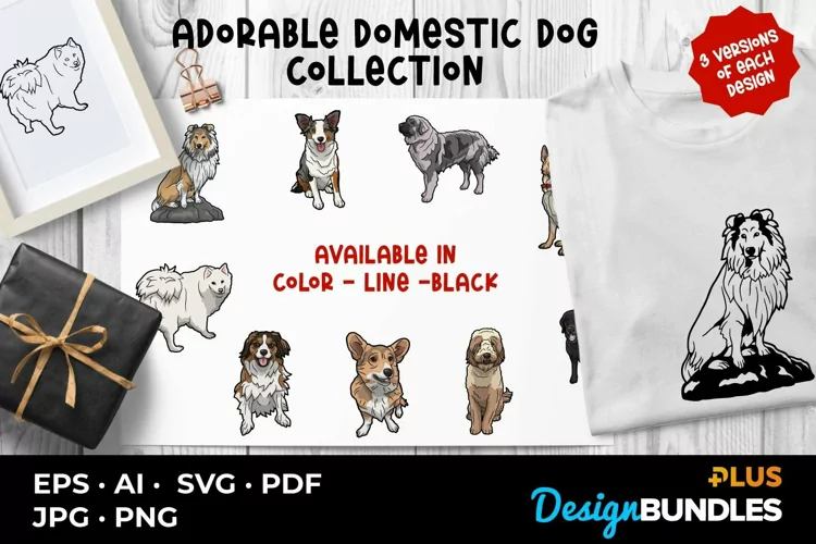 Adorable Domestic Dog Collection