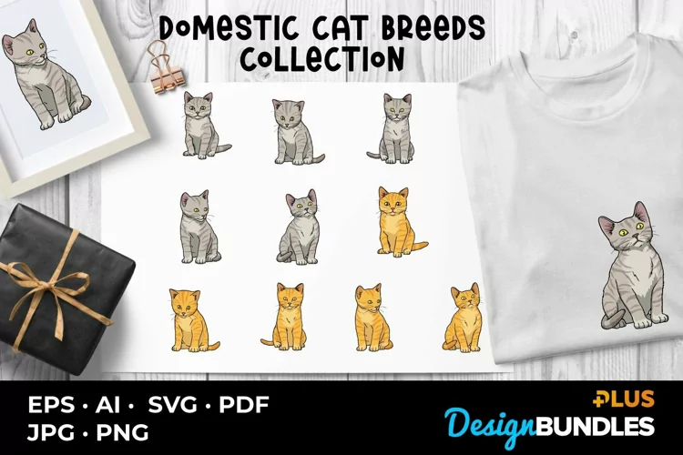 Domestic Cat Breeds Collection