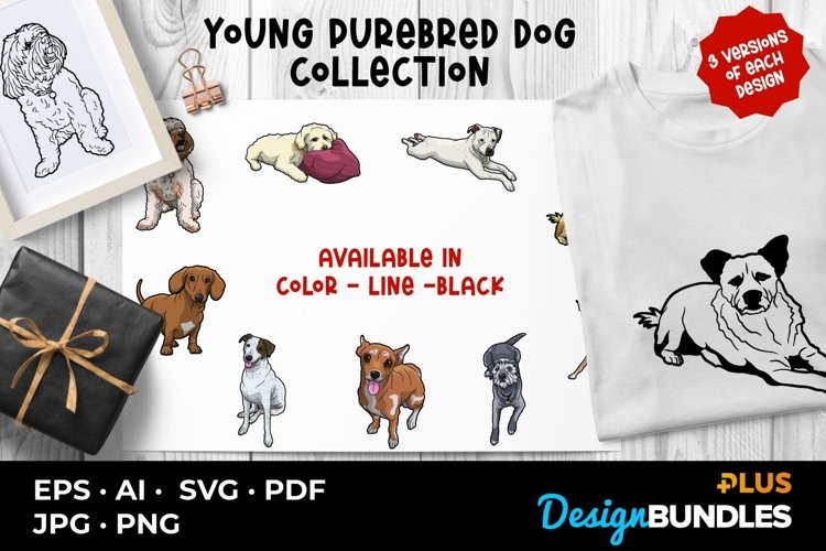 Young Purebred Dog Collection example image 1