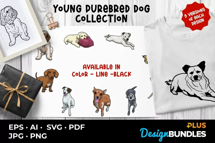 Young Purebred Dog Collection