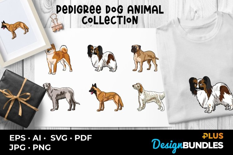 Pedigree Dog Animal Collection
