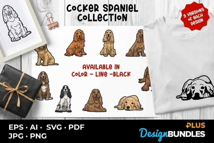Cocker Spaniel Collection