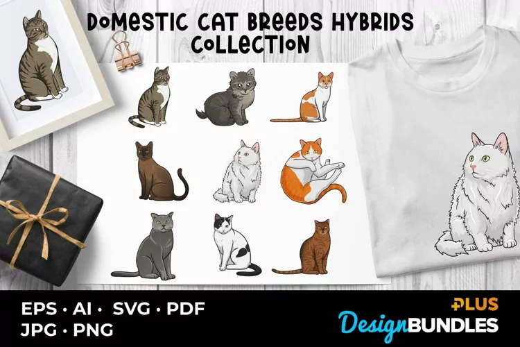 Domestic Cat Breeds Hybrids Collection