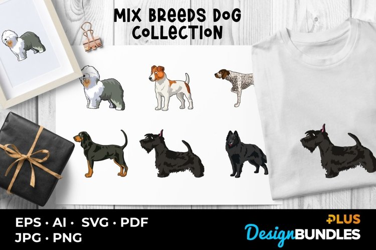 Mix Breeds Dog Collection