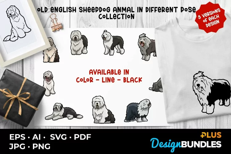Old English Sheepdog Animal In Different Pose Collection