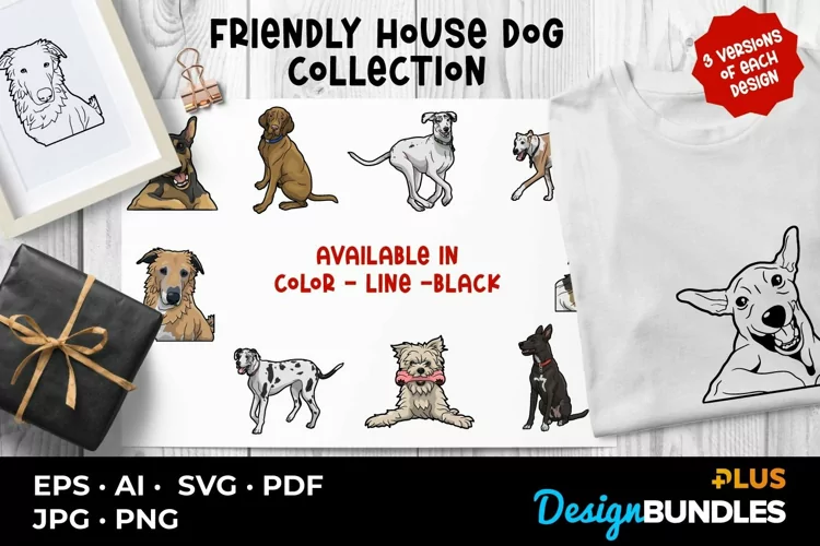 Friendly House Dog Collection