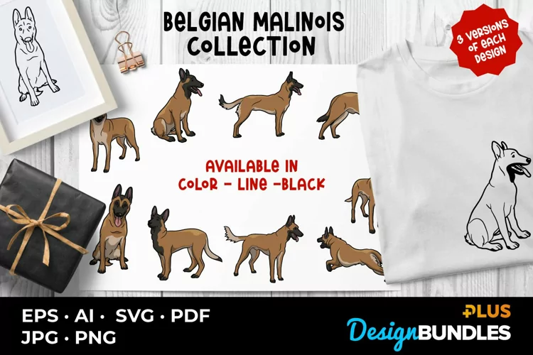 Belgian Malinois Collection