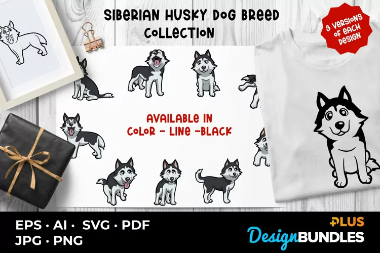Siberian Husky Dog Breed Collection