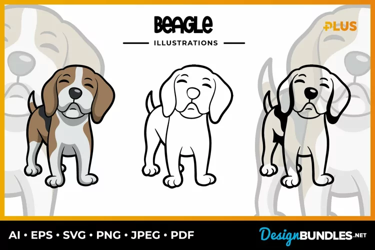 Beagle Collection