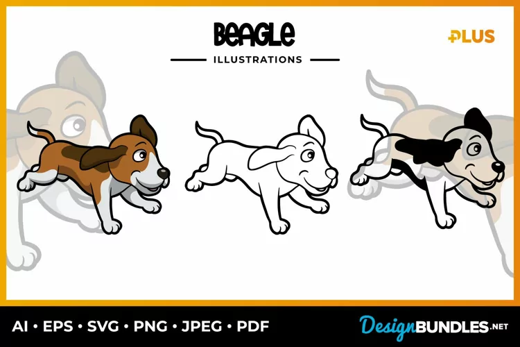 Beagle Collection