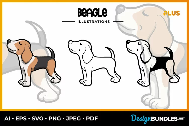 Beagle Collection