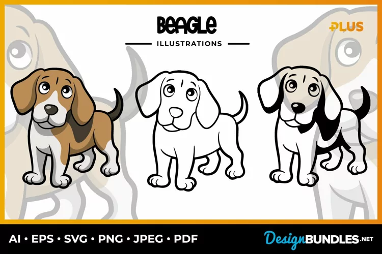 Beagle Collection